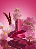 Multi Calvin Klein Euphoria Magnetic Elixir Parfum for Women 50ml  Women