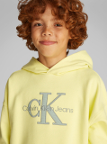 Yellow Logo Hoodie  Boys