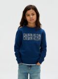Blue Logo Sweatshirt  Boys