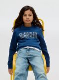 Blue Logo Sweatshirt  Boys