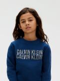 Blue Logo Sweatshirt  Boys