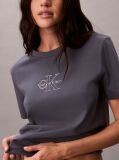 Grey Glossy Metallic Logo T-shirt  Women