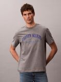 Γκρι T-shirt Με Κεντητό Λογότυπο NYC  Άνδρας