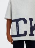 Γκρι T-shirt Με Λογότυπο  Αγόρι