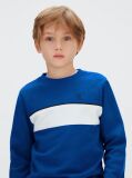 Blue Colourblock Sweatshirt  Boys