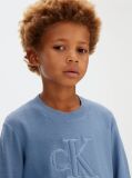 Blue Logo Jumper  Boys