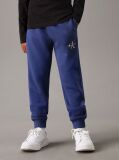 Blue Unisex Relaxed Joggers  Kids Unisex
