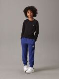 Blue Unisex Relaxed Joggers  Kids Unisex