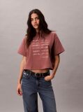 Καφέ Κοντομάνικο T-Shirt Με Graphic Τύπωμα Και Crop Boxy Γραμμή  Γυναίκα