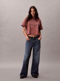 Καφέ Κοντομάνικο T-Shirt Με Graphic Τύπωμα Και Crop Boxy Γραμμή  Γυναίκα