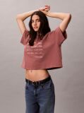 Καφέ Κοντομάνικο T-Shirt Με Graphic Τύπωμα Και Crop Boxy Γραμμή  Γυναίκα