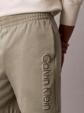 Green Graphic Logo Terry Shorts  Men