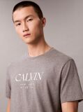 Grey Calvin Crewneck Graphic Tee  Men