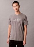 Grey Calvin Crewneck Graphic Tee  Men
