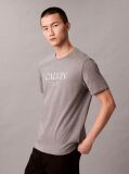 Grey Calvin Crewneck Graphic Tee  Men