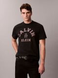 Black Varsity Logo Graphic Relaxed T-Shirt  Men