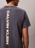 Blue Logo Graphic Washed Crew Neck T-Shirt  Men