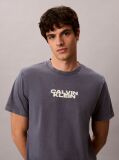 Blue Logo Graphic Washed Crew Neck T-Shirt  Men