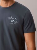 Blue Logo Graphic Crew Neck T-Shirt  Men