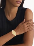 Gold Watch - CK Iconic  Women