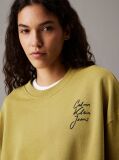 Green Boxy Cotton Terry Sweatshirt  Women