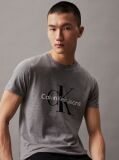 Γκρι Slim T-Shirt Με Μονόγραμμα  Άνδρας