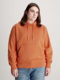 Πορτοκαλί Βαμβακερό Hoodie Με Λογότυπο  Άνδρας