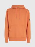Πορτοκαλί Βαμβακερό Hoodie Με Λογότυπο  Άνδρας