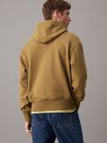 Καφέ Hoodie Από Βαμβακερό Terry  Άνδρας