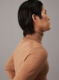 Brown Merino Wool Roll Neck Jumper  Men