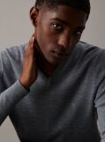 Grey Superior Wool Vneck Sweater  Men