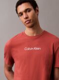 Κόκκινο Βαμβακερό T-shirt Με Λογότυπο  Άνδρας
