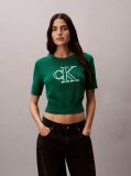 lv047f356gl4g 1