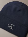 Blue Signature Logo Beanie  Men