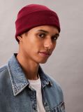 Red Signature Logo Beanie  Men