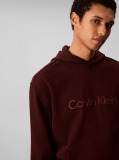 Καφέ Hoodie Με Λογότυπο  Άνδρας