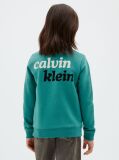 Green Kids' Logo Sweatshirt  Boys