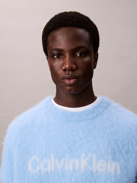 Blue Brushed Alpaca Wool Blend Monogram Logo Sweater  Men