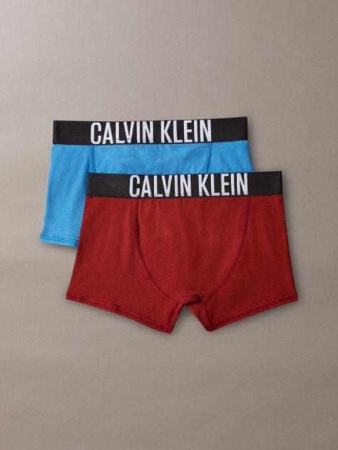 Multi 2 Pack Boys Trunks - Intense Power  Boys