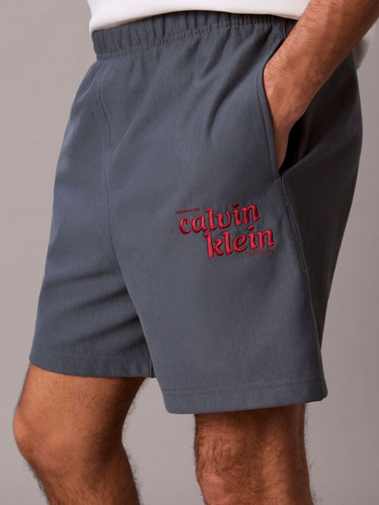 Blue Embroidered Logo Jogger Shorts  Men