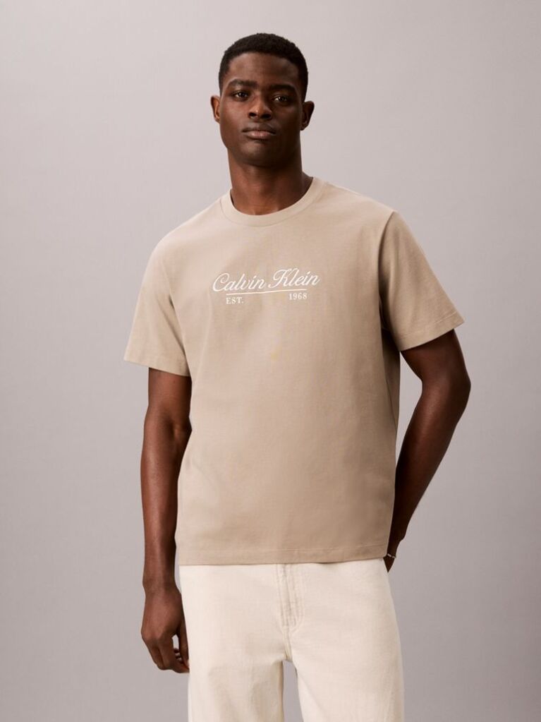Brown Embroidered Logo T-shirt  Men
