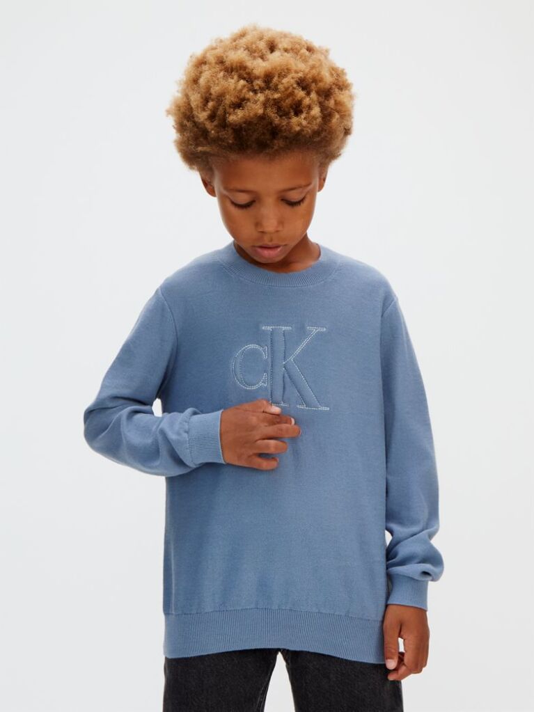 Blue Logo Jumper  Boys