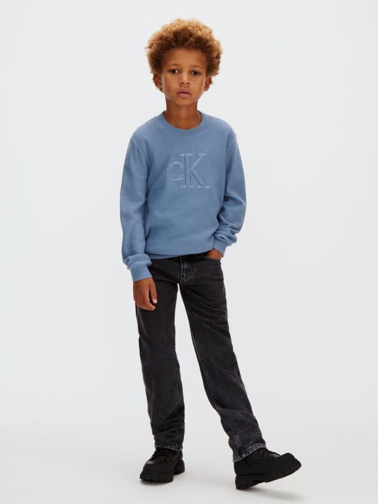 Blue Logo Jumper  Boys