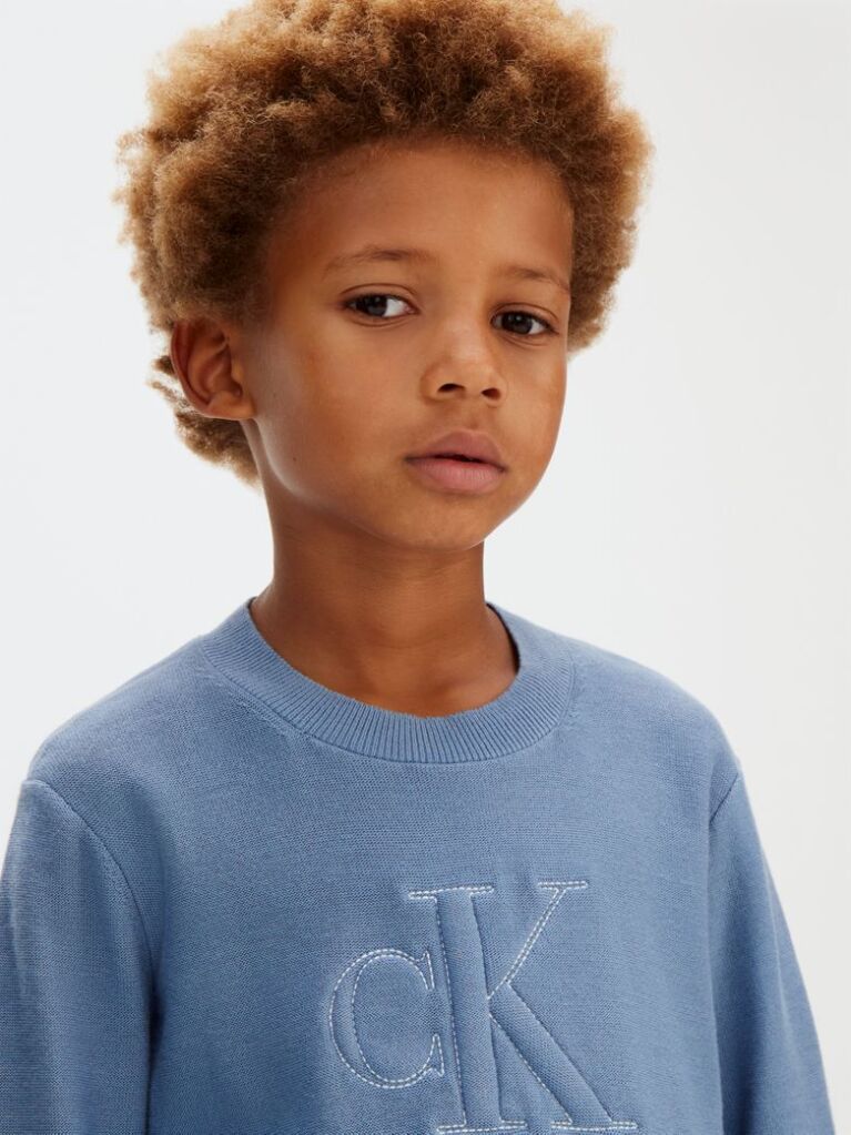 Blue Logo Jumper  Boys