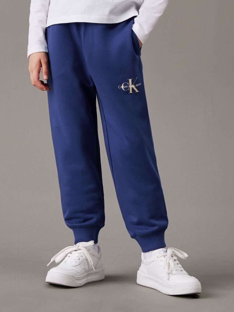 Blue Unisex Relaxed Joggers  Kids Unisex