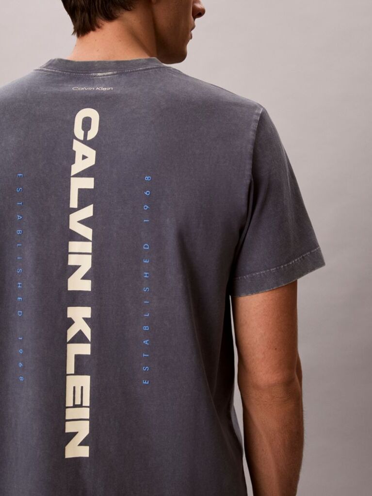 Blue Logo Graphic Washed Crew Neck T-Shirt  Men