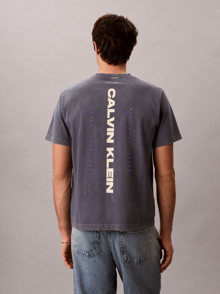 Blue Logo Graphic Washed Crew Neck T-Shirt  Men