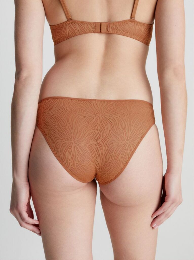 Beige Bikini Briefs - Sheer Marquisette  Women