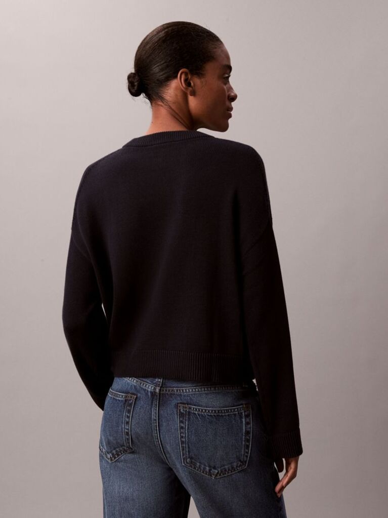 Blue Long Sleeve Smooth Cotton Sweater  Women