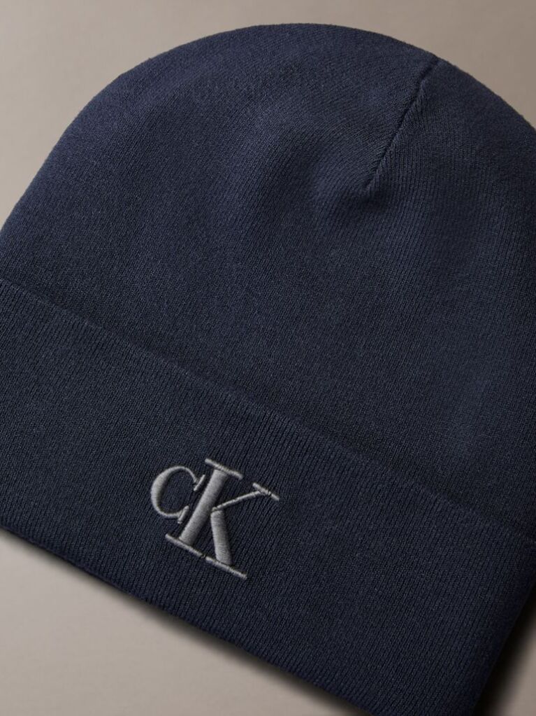 Blue Signature Logo Beanie  Men